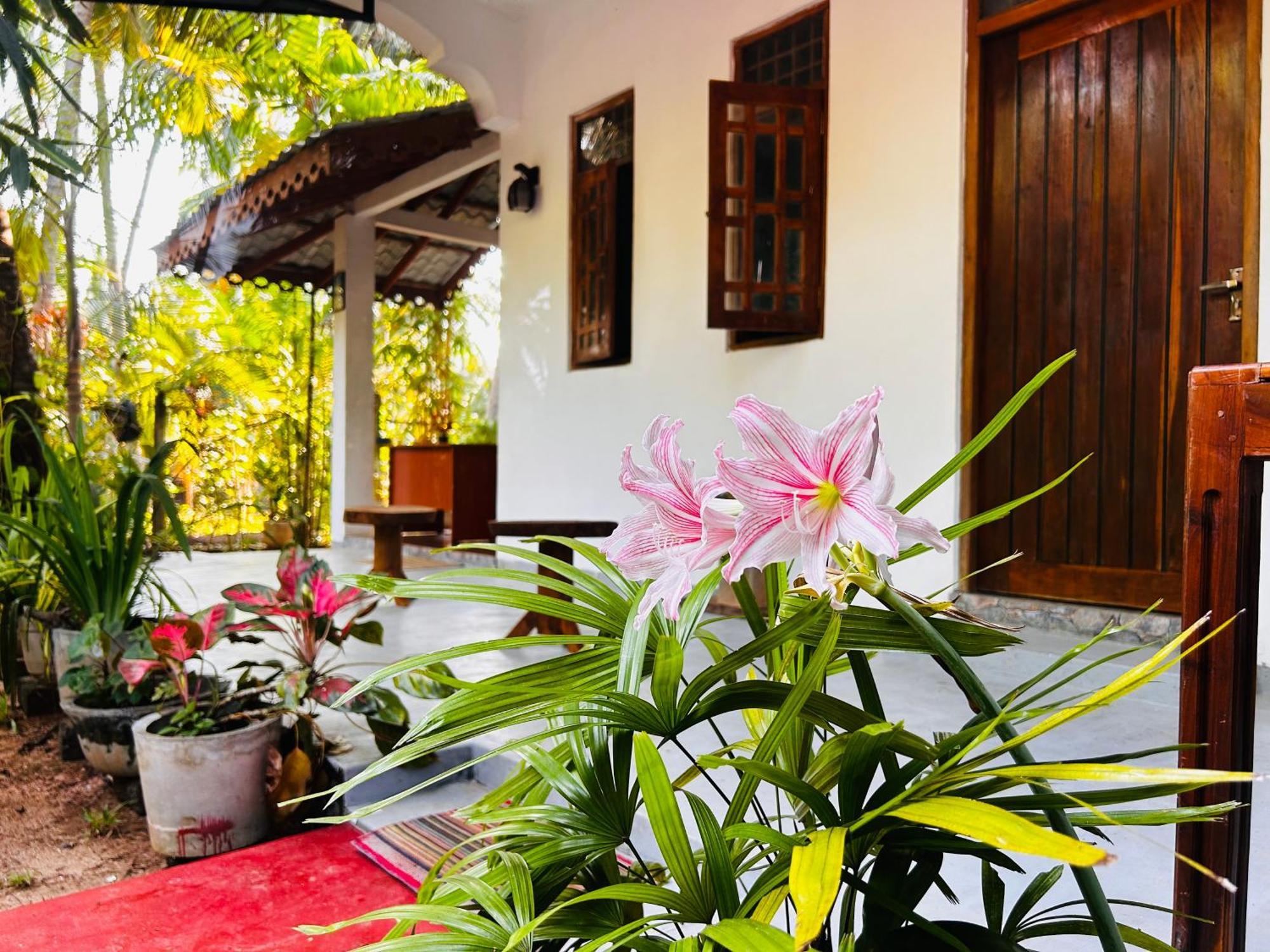 Pearl Bungalow 亭可马里 外观 照片